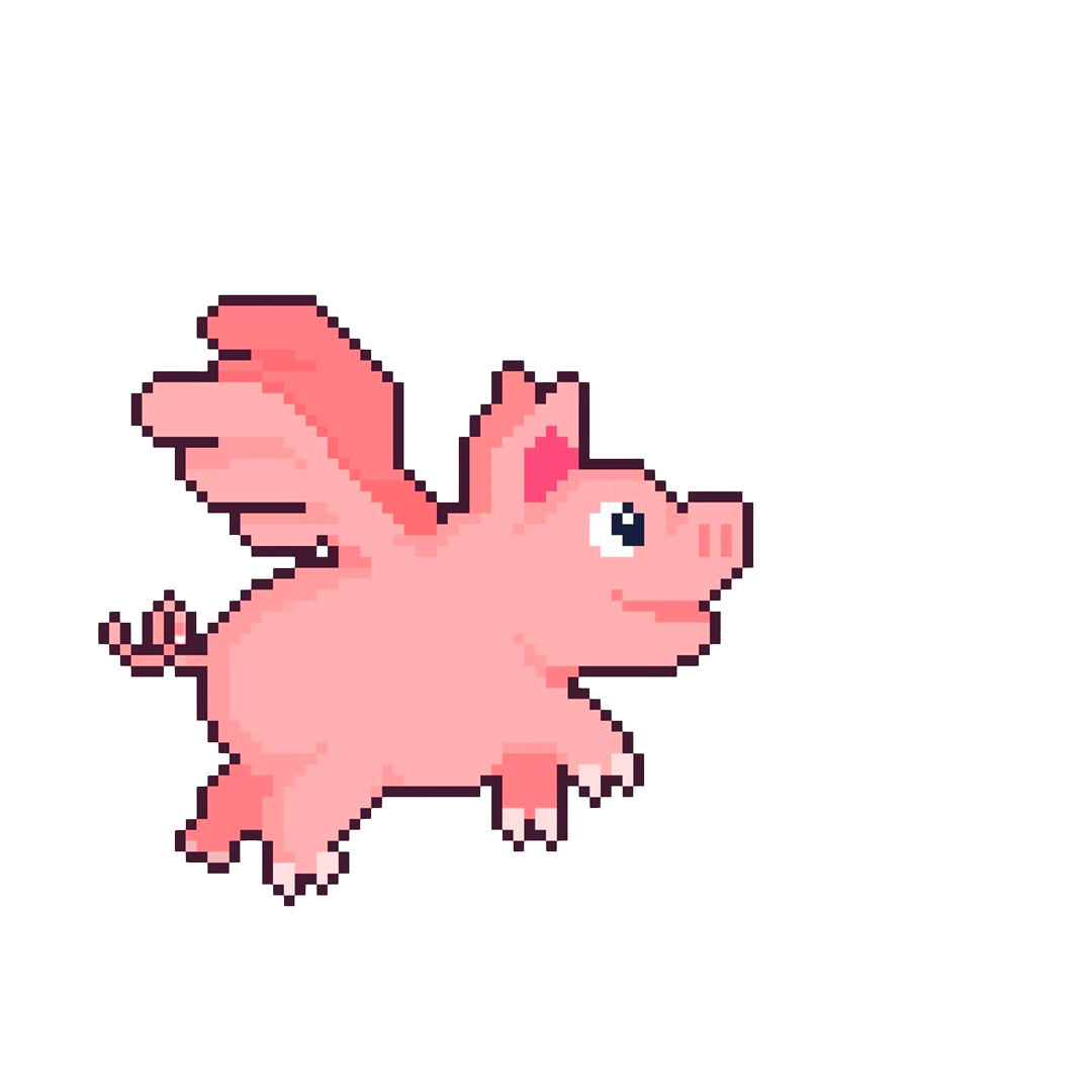 Flying pig